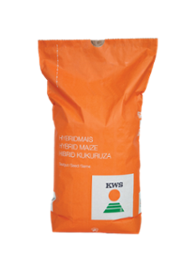 Царевица 370, KWS Акустика