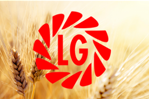Ечемик LG Зебра, Б 500кг