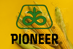 Царевица 260, Р8604 AQUAmax