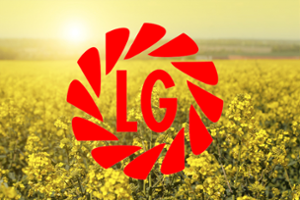 Рапица LG Конструктор CL