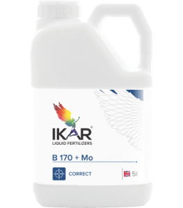 IKAR B170+Mo