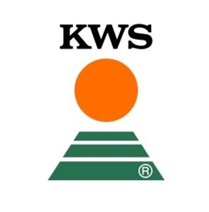 Рапица KWS Калиндо CL