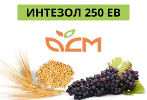 Интезол 250 ЕВ