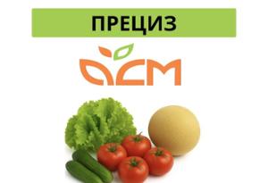 Прециз
