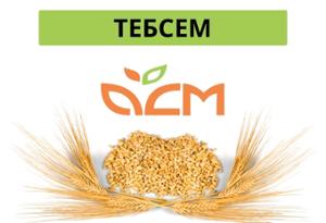 ТЕБСЕМ 025 ФС